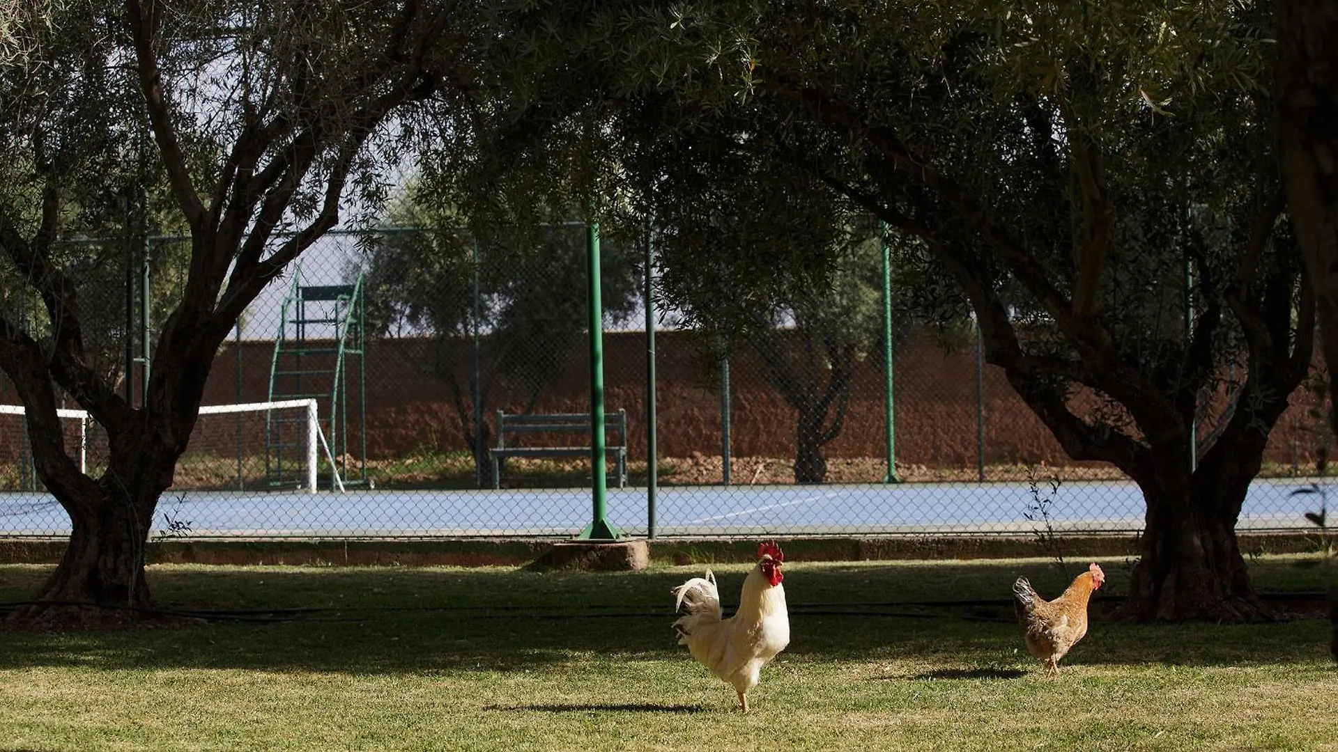 Villa Mish-Mish Marrakesh 0*,  Morocco