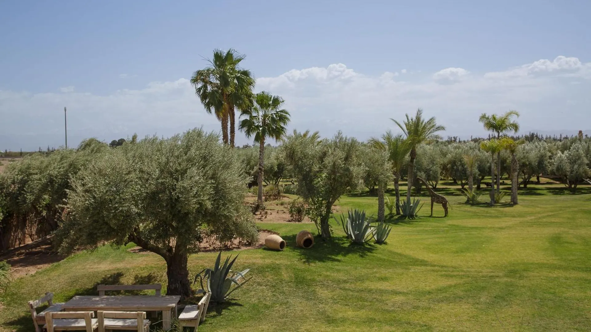 Villa Mish-Mish Marrakesh Morocco
