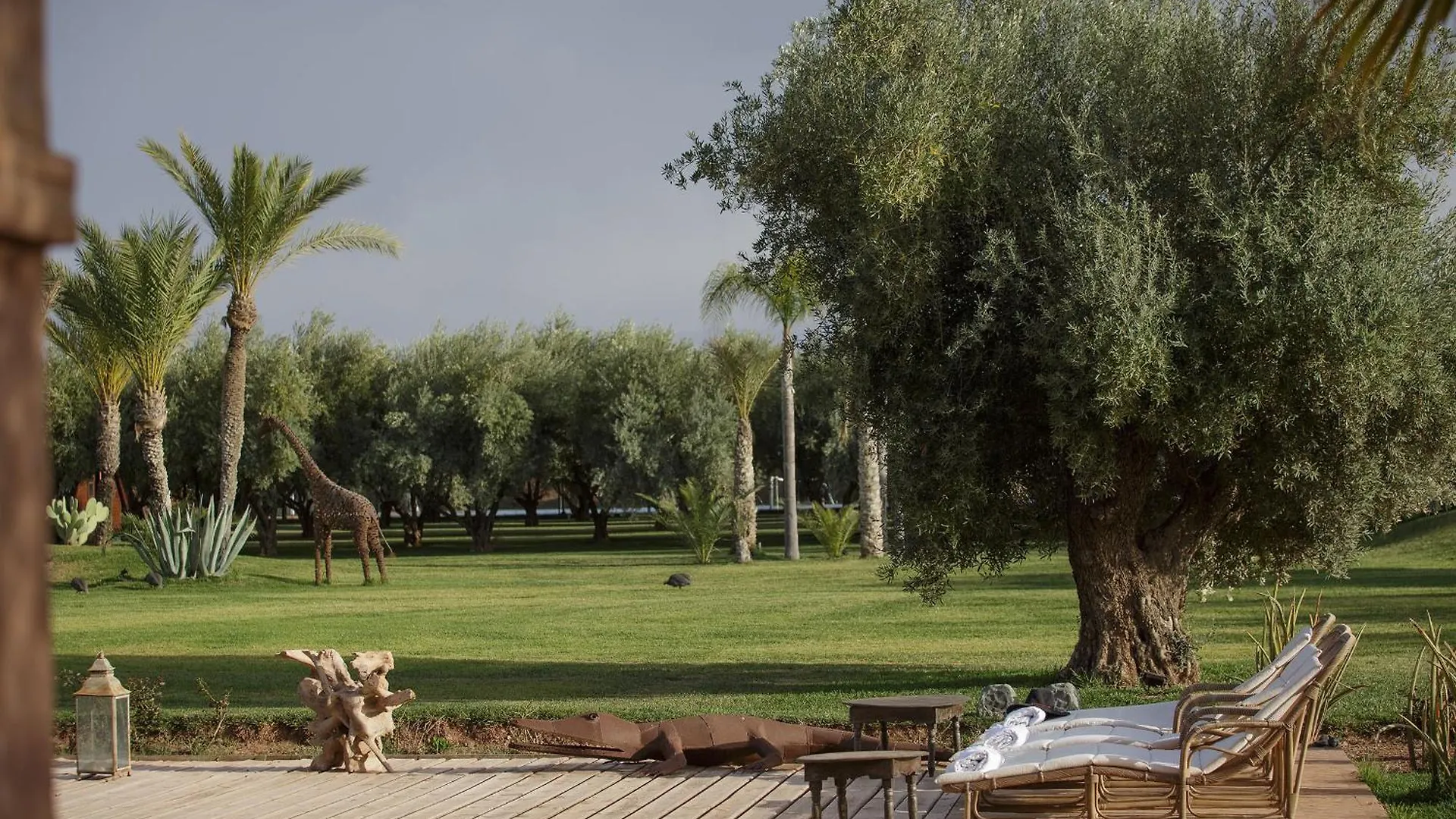 Villa Mish-Mish Marrakesh