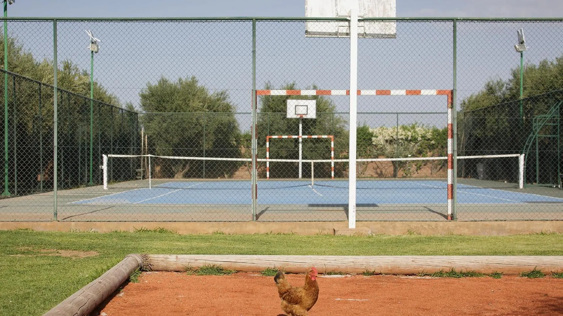 Villa Mish-Mish Marrakesh 0*,
