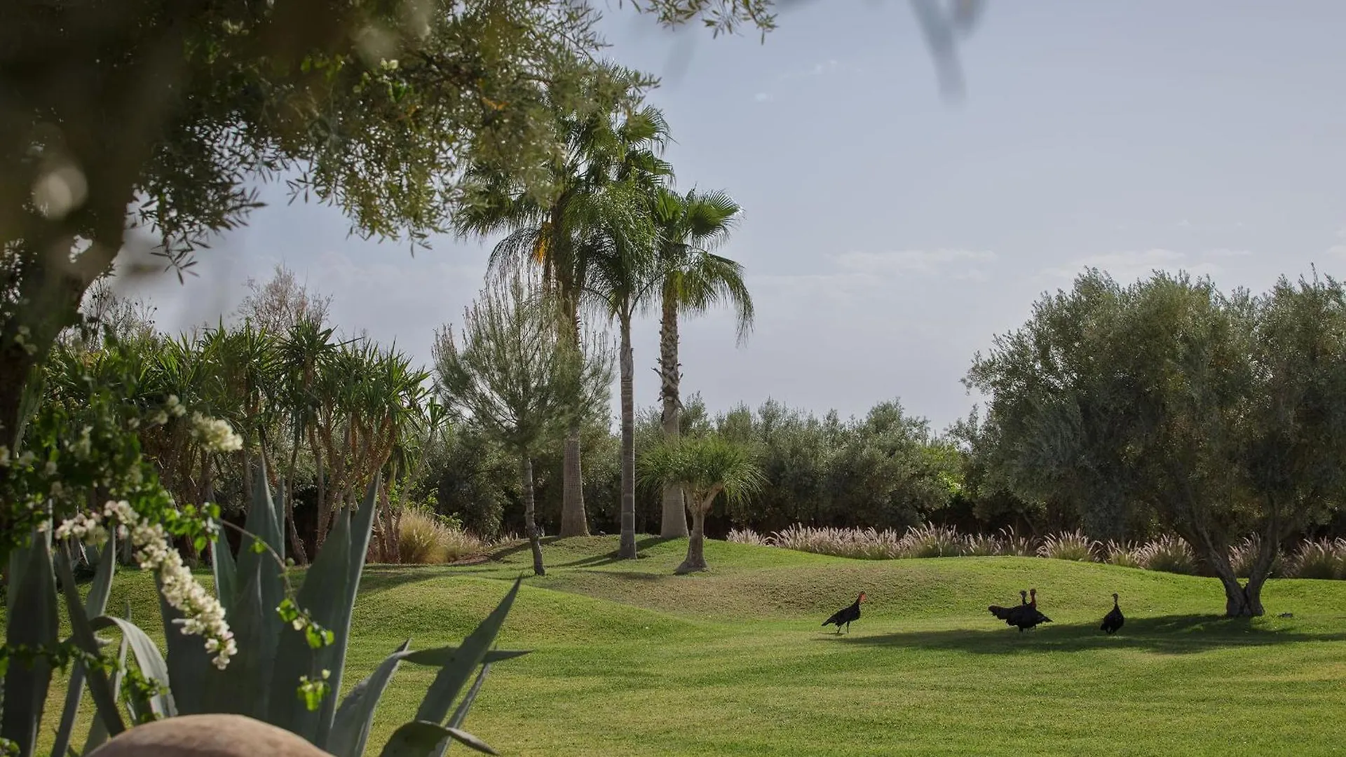 Villa Mish-Mish Marrakesh