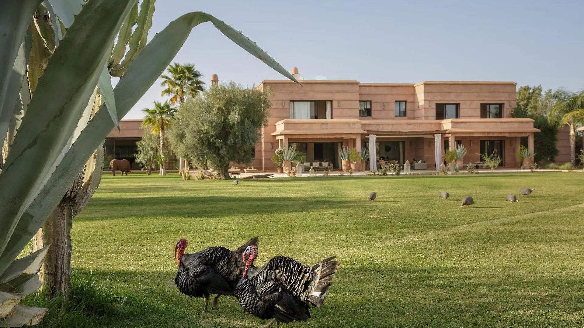 Villa Mish-Mish Marrakesh Morocco