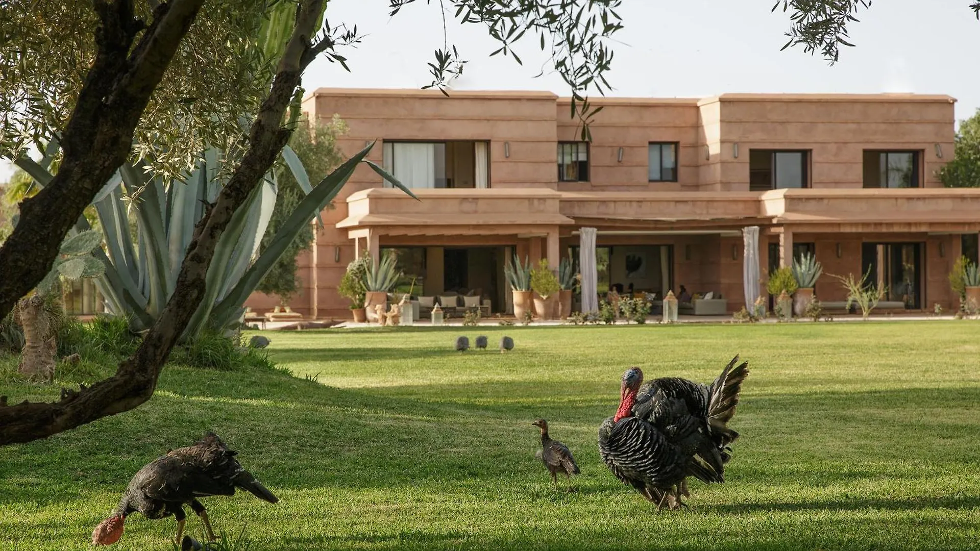 Villa Mish-Mish Marrakesh