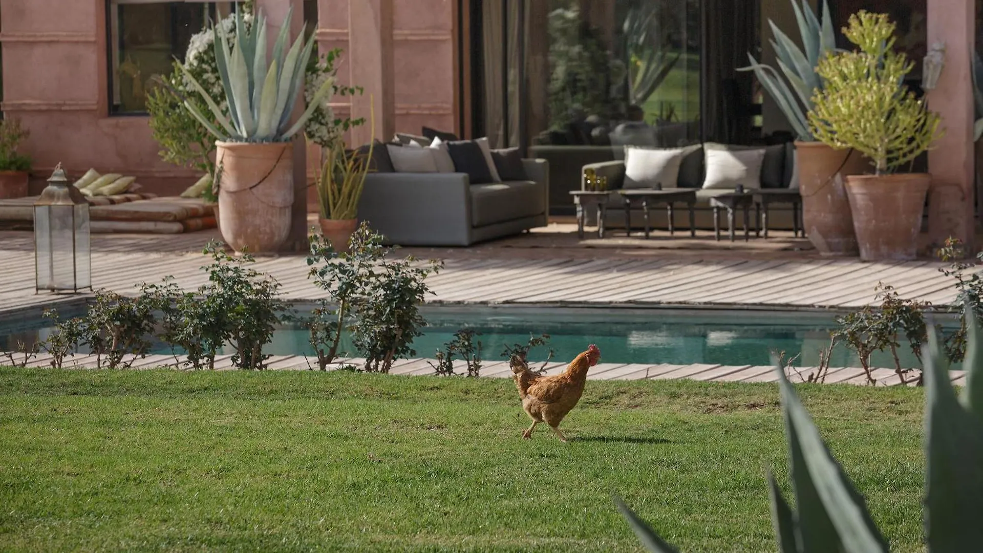 Villa Mish-Mish Marrakesh 0*,  Morocco