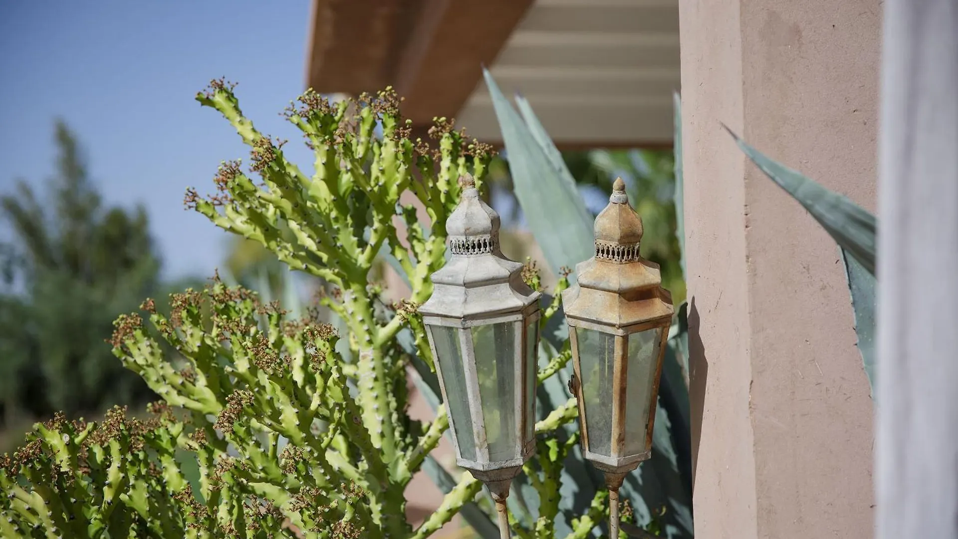 Villa Mish-Mish Marrakesh