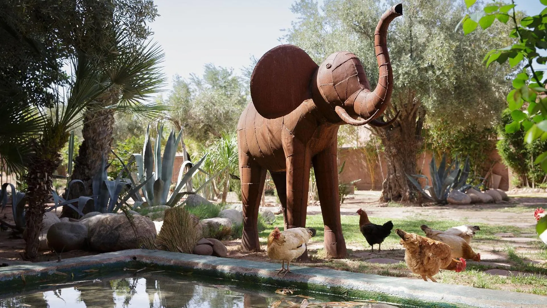 Villa Mish-Mish Marrakesh 0*,